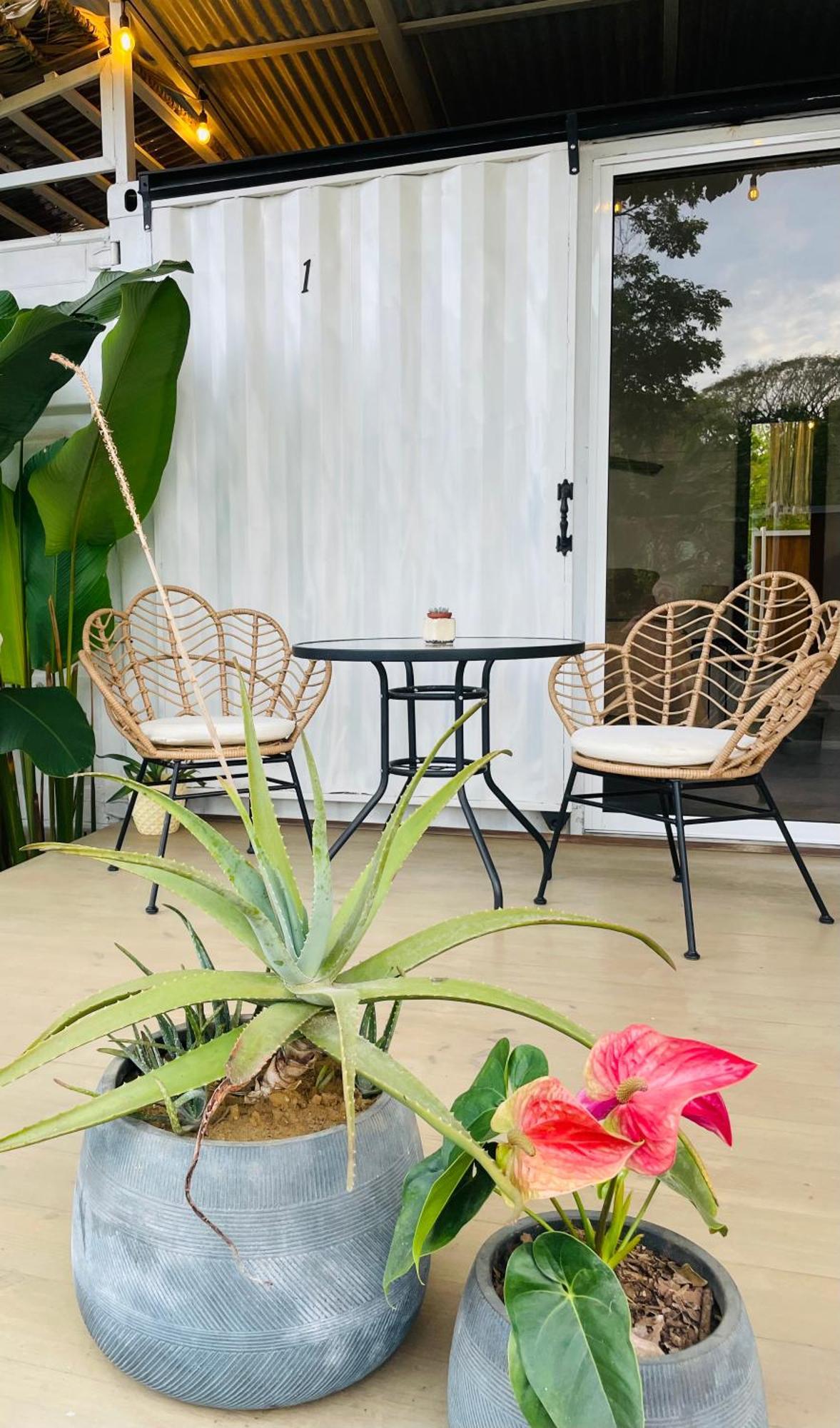 Bed and Breakfast Casa Luce Puerto Viejo de Talamanca Esterno foto